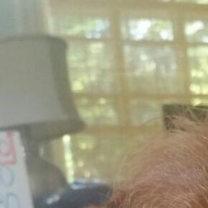 Meet your Posher, Al